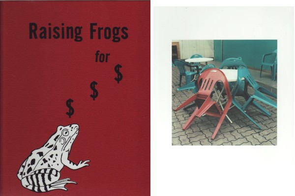 (FULFORD, JASON). Fulford, Jason & Adam Gilders - RAISING FROGS FOR $ $ $ - DELUXE EDITION LIMITED TO SIX COPIES SIGNED BY JASON FULFORD WITH A SIGNED COLOR PHOTOGRAPH